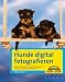 cover of Hunde digital fotografieren