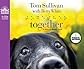 Together: A Story of Shared Vision (English and English Edition)
