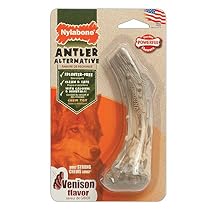 Nylabone Dura Chew Nylon Antler Dog Chew Toy, Large

