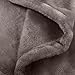 Amazon Brand – Pinzon Velvet Plush Blanket - Twin, Grey