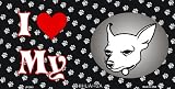 I Love My Chihuahua License Plates