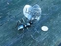 metalgnu