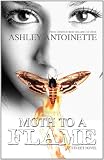 Moth to a Flame