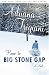 Home to Big Stone Gap: A Novel (Kindle Edition)