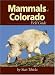 Mammals of Colorado Field Guide