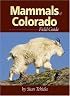 Mammals of Colorado Field Guide
