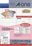 エーワン パソコンプリンタ&ワープロラベル NEC文豪シリーズタイプ2列用 A4判 12面 20シート(240片) 28171