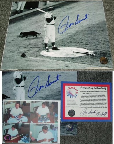 Ron Santo Chicago Cubs - Black Cat at Shea Stadium - 8x10 Autographed Photograph