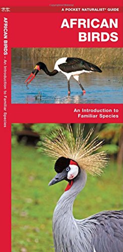 African Birds: A Folding Pocket Guide to Familiar Species (Pocket Naturalist Guide Series)