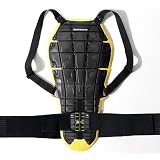 Spidi Back Warrior Evo Protector
