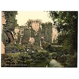 Professionally Framed Raglan Castle South Wales Photo Art Print Poster - 13x19 with RichAndFramous Black Wood Frame