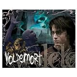 Visual Echo 3D Effect Harry Potter Voldemort Fire 500pc Lenticular Puzzle
