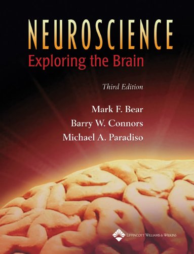 image of Neuroscience: Exploring the Brain