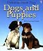 Dogs And Puppies