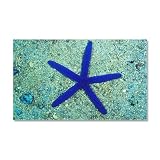 22 x 14 Wall Vinyl Sticker Blue Starfish on Sand