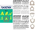 Brother SA298 Embroidery Machine Alphabet Memory card
