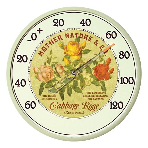 Chaney Instrument 12.5 Inch Indoor/Outdoor Thermometer, Cabbage Rose Design