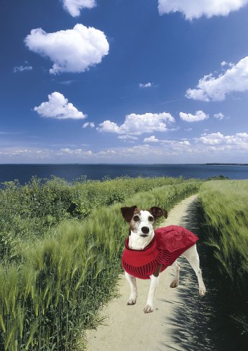 Karlie – Hundepullover mit Regencape – Rot 36cm