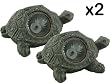 tortoise lamps