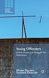 Young offenders : crime, prison, and struggles for desistance