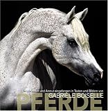 Pferde