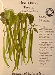 Bush Beans Stringless Tavera Certified Organic Seeds 18 Grams