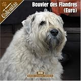 Bouvier des Flanders (Euro) 2008 Wall calendar