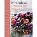 Winterdeko: F�r Drinnen und Drau�en