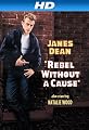 Rebel Without A Cause