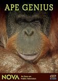 Ape Genius