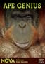 Ape Genius