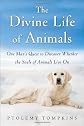 The Divine Life of Animals