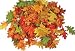 Assorted Mini Fall Color Oak Leaves - Autumn Weddings, Flowergirl Leaves, Fall Decor