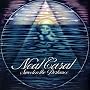 Sweeten The Distance ~ Neal Casal