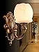 Alcon Lighting Riley 9027 Architectural Grade LED 12V Low Voltage In-Ground LED Well Light - Cast Brass or Gun Metal