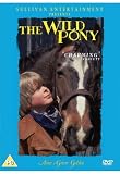 The Wild Pony