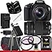 Canon EOS Rebel T3i 18 MP CMOS Digital SLR Camera w/ 18-55mm IS II & Canon EF 75-300mm f/4-5.6 III Telephoto Zoom Lens Package 4