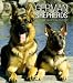 German Shepherds 2010 Hardcover Weekly Engagement