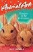 Bunnies in the Bathroom (Animal Ark)