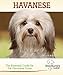 Havanese: A Practical Guide for the Havanese Lover (Breed Lover's Guide)