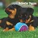 Rottweiler Puppies 2009 Small Wall Calendar