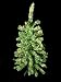 3' Pre-Lit Artificial Table Top Christmas Tree - Multi Lights