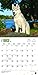 Siberian Husky Puppies 2016 Calendar