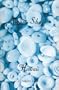Puka Shell Hawaii: The Story of Puka Shell Jewelry in the Hawaiian Islands