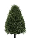 30" Indoor/Outdoor Artificial Pond Cypress Cone Topiary Tree - Unlit