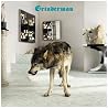Bild des Albums von Grinderman