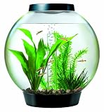 biOrb Baby with Light Fixture (4 Gallons Black)