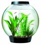 Baby biOrb Aquarium with Halogen Light, Black, 4 Gallons