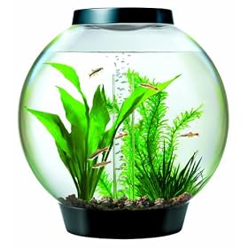 biOrb Baby with Light Fixture (4 Gallons Black) by biOrb