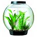 Baby biOrb Aquarium with Halogen Light, Black, 4 Gallons